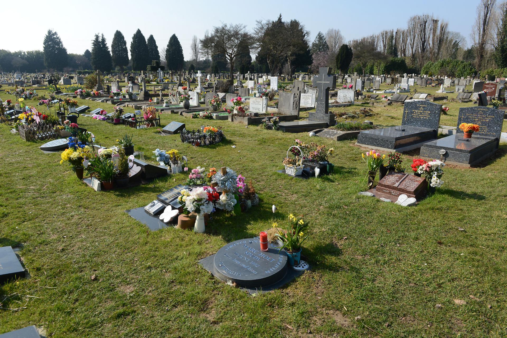 A view of the cemetery