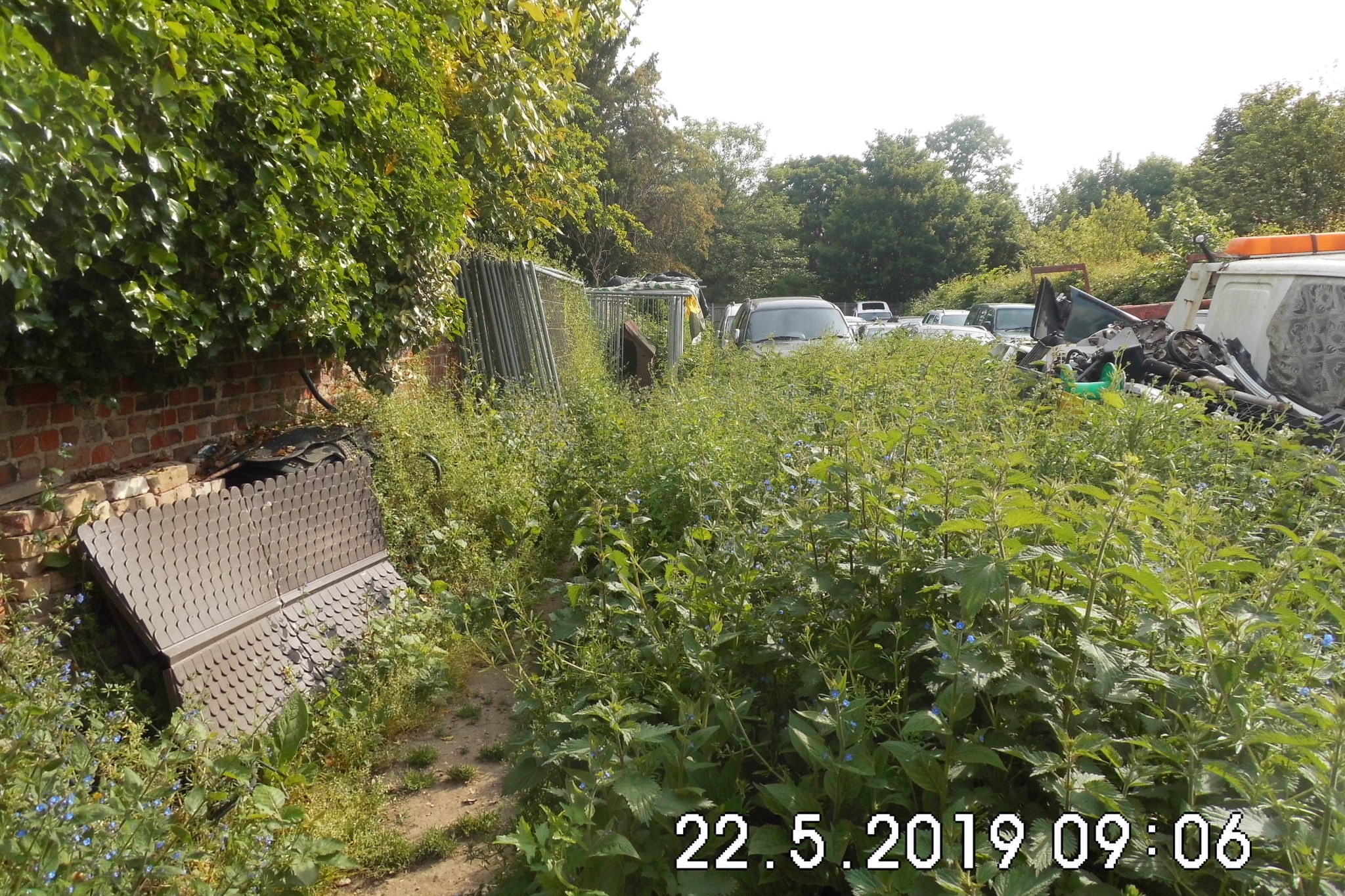 An overgrown garden, with parked vehicles and a makeshift kennel for a dog.