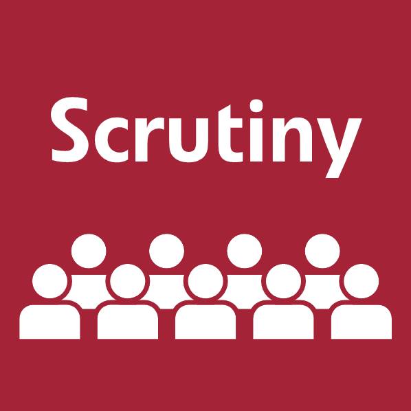 Scrutiny logo