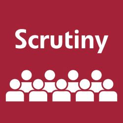Scrutiny logo