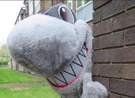 Sid the shark loan sharks