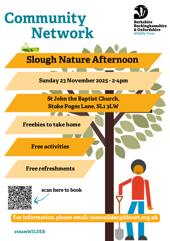 Slough nature afternoon