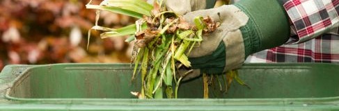 Garden waste being thrown in the garden waste bin.