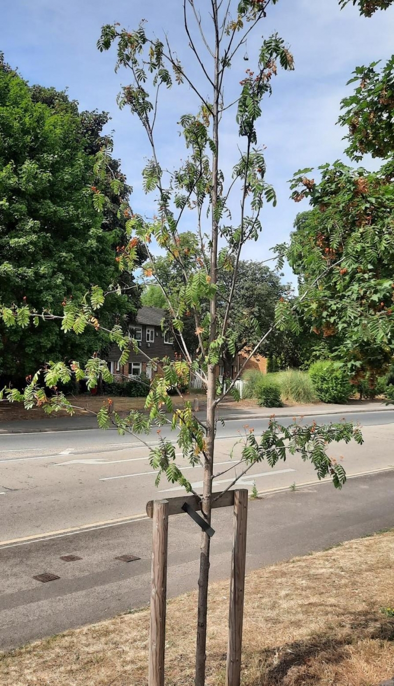 Latest news Slough Borough Council