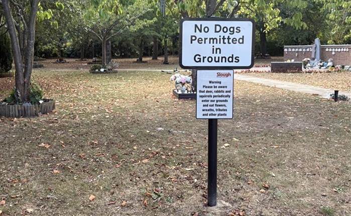 Image of a signage that reads " No dogs permitted in grounds"