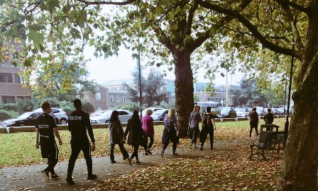 A picture of a Slough group walking through a park.