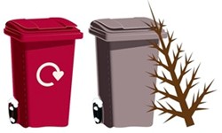Red bin and grey bin with old Christmas tree.